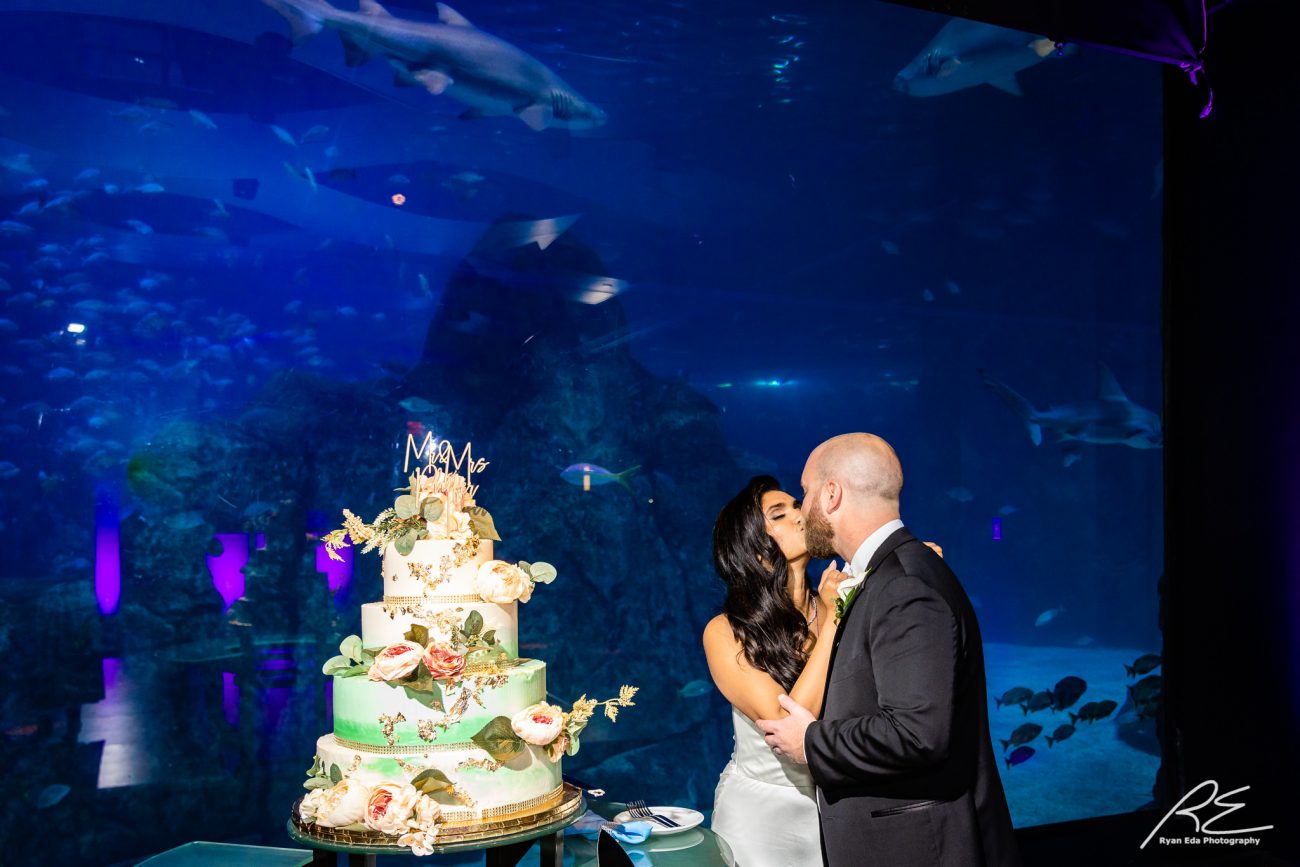 Adventure Aquarium Wedding - Jesu and Chris