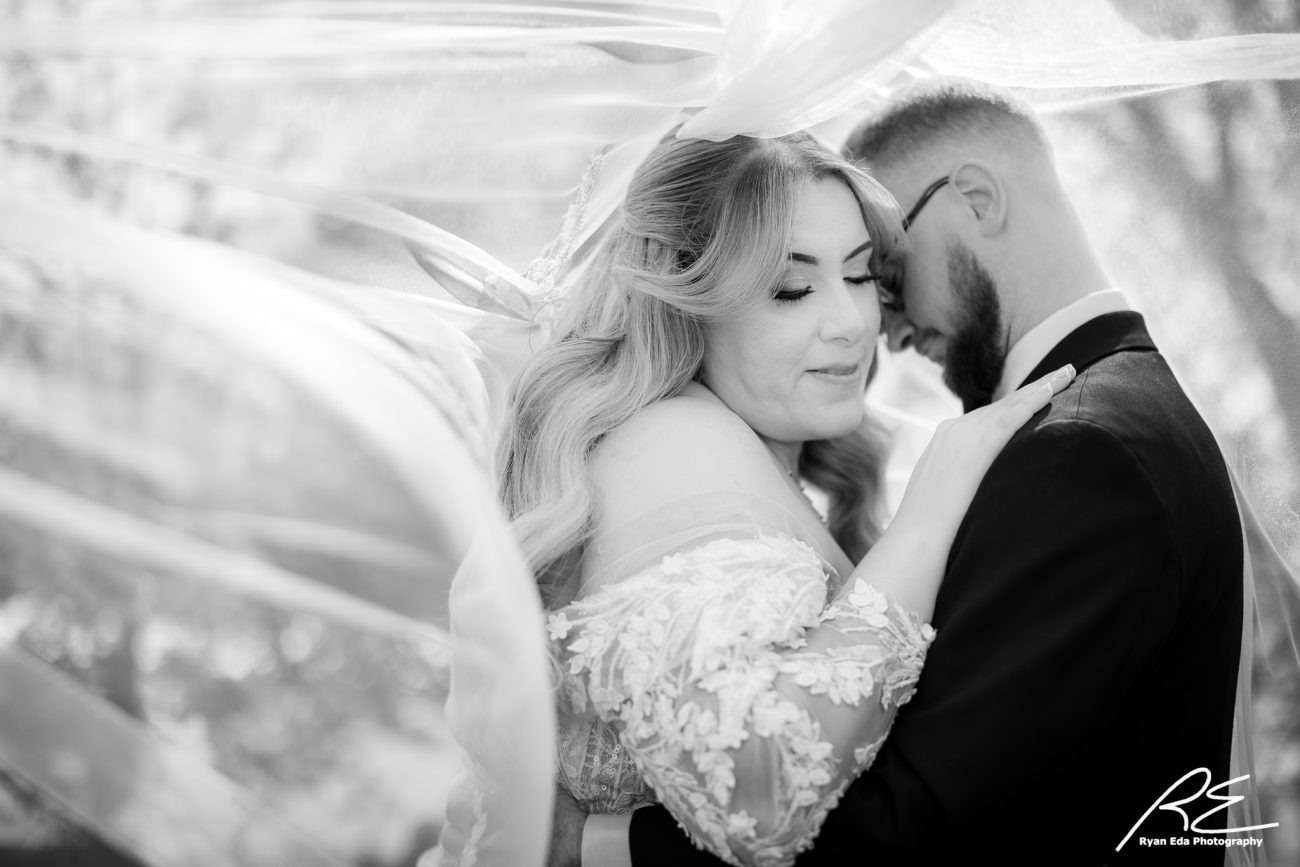 Springmill Manor Wedding - Melissa and Daniel”