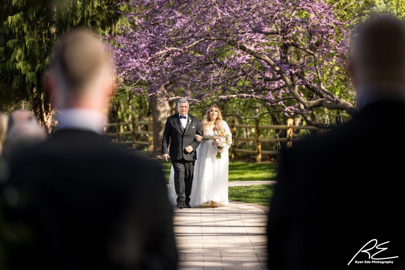 Springmill Manor Wedding - Melissa and Daniel”